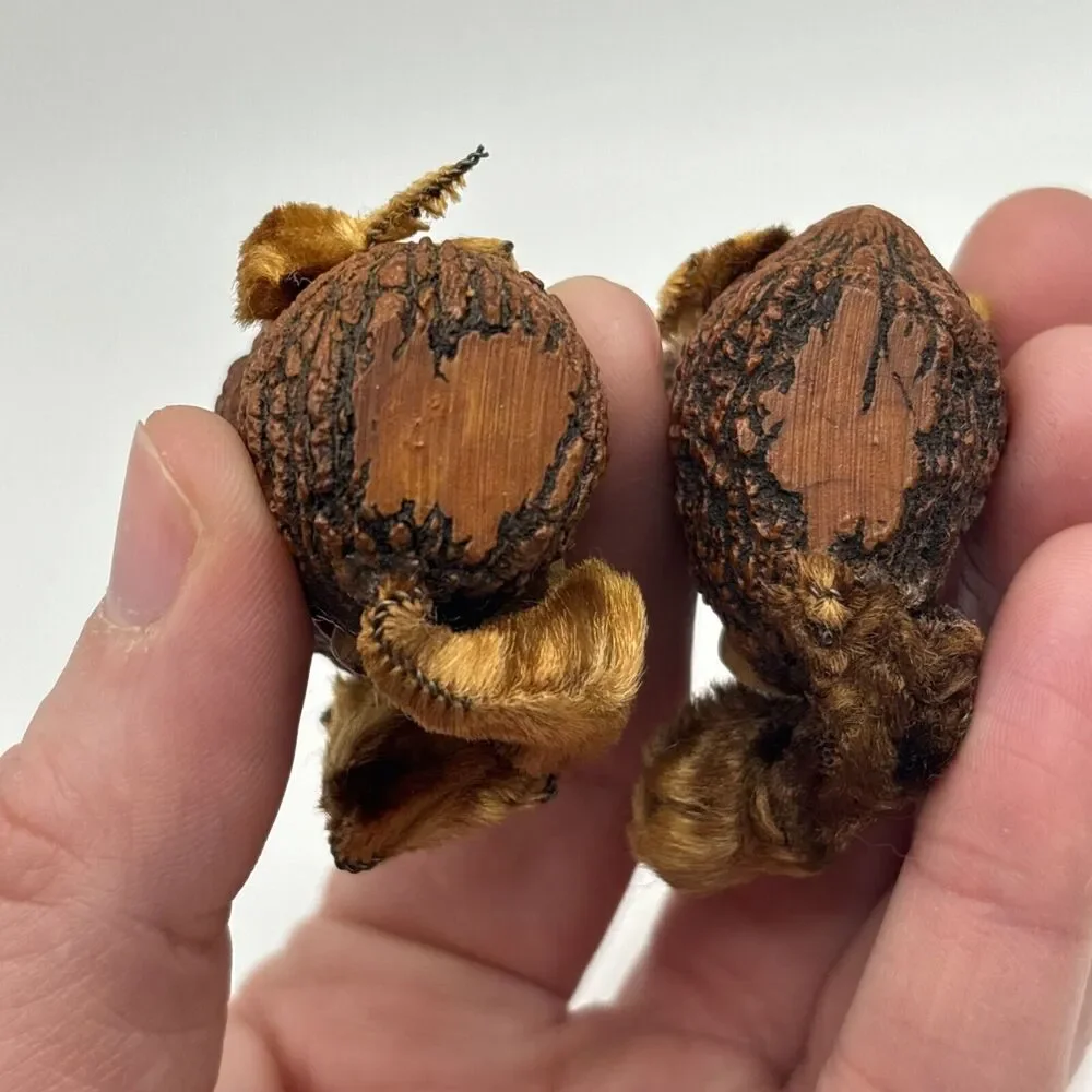 VINTAGE ANTIQUE SALT AND PEPPER SHAKERS SQUIRRELS MADE FROM WALNUTS RARE